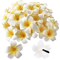 White Foam Hawaiian Frangipani Artificial Plumeria Flower Hat Hair Clips
